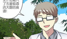 机械女仆漫画集,未来都市的守护者与爱恋