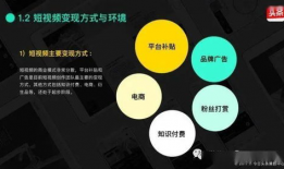 短视频 传统媒体,传统媒体的新生力量